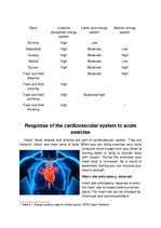 Presentations 'Response of the Energy Systems, Musculoskeletal System, Cardiovascular System an', 8.