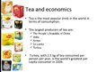 Presentations 'Lipton Tea', 4.