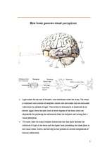 Research Papers 'Brain', 4.