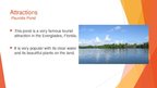 Presentations 'Everglades National Park bemutató prezentáció angolul', 5.