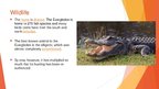Presentations 'Everglades National Park bemutató prezentáció angolul', 6.