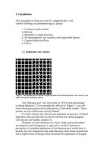 Research Papers 'Optical Illusions', 5.