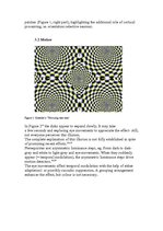 Research Papers 'Optical Illusions', 6.