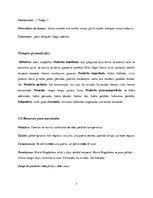 Summaries, Notes 'Análisis del Texto "El Desaparecido"', 7.