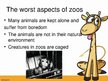 Presentations 'Keeping Wild Animals in Zoos', 5.
