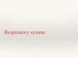 Presentations 'Respiratory System', 1.