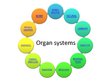 Presentations 'Changes of Different Organ Systems during Pregnancy', 2.