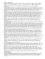 Essays 'Computer Calamaties', 1.