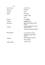 Samples 'CV in English ', 1.