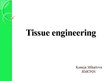 Presentations 'Tissue Engineering', 1.
