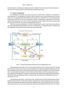 Research Papers 'Unemployment in Latvia', 6.