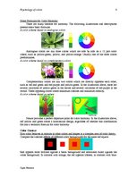 Research Papers 'Psychology of Color', 6.
