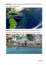 Research Papers 'The Pacific Garbage Patch', 8.