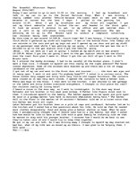 Essays 'The Dreadful Afternoon Report.', 1.