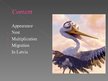 Presentations 'Lynx. Black Stork', 7.