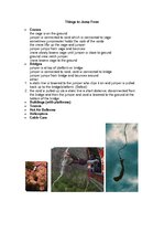 Research Papers 'The History of Bungee Jumping', 5.