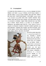 Research Papers 'Indonézia Művészete, A wayang', 10.