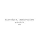 Research Papers 'The Economic, Social and Regulatory Aspects of Advertising', 1.