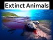 Presentations 'Extinct Animals', 1.