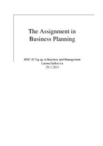 Research Papers 'The Assignment in Business Planning', 1.