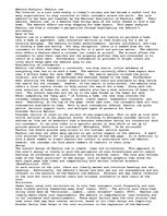 Essays 'Website Analysis', 1.