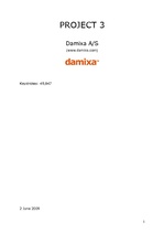 Research Papers 'Company "Damixa"', 1.