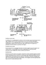 Research Papers 'Közlekedési pályák - Közutak alapanyagai az ókortól a napjainkig', 7.