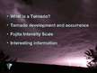 Presentations 'Tornado', 2.
