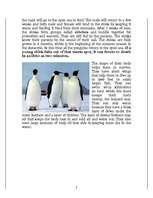 Research Papers 'Penguins', 7.