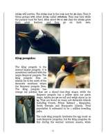 Research Papers 'Penguins', 11.