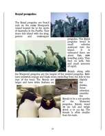 Research Papers 'Penguins', 18.