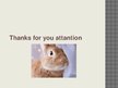 Presentations 'Rabbit Communication Skills', 7.