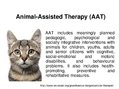 Presentations 'Animal-Assisted Therapy', 1.