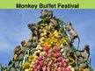 Presentations 'Monkey Buffet Festival', 3.