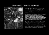 Presentations 'Flora of Hawaiian Islands', 38.