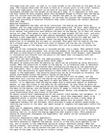 Essays 'Jumping Bug Investigation', 2.