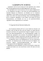 Research Papers 'Jugendrelevente Themen in der EU', 10.