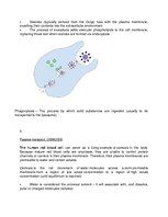 Summaries, Notes 'Cell Membrane Transport', 3.
