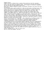 Essays 'Software Piracy', 1.