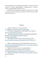 Essays 'Marketing - közösségi média: Facebook és Instagram algoritmus, magyar felhasznál', 16.