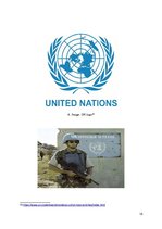 Research Papers 'Peacekeeping Operations', 15.