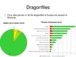 Presentations 'Diversity and Distributions of Romania in European Level', 25.