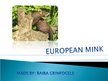 Presentations 'The European Mink', 1.