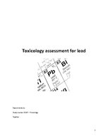 Summaries, Notes 'Toxicology Assessment for Lead', 1.