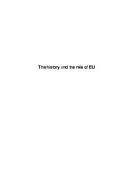 Research Papers 'The History and the Role of EU', 1.