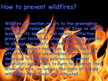 Research Papers 'Forest Firesor Wildfires', 3.