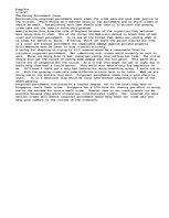 Essays 'The Caning Punishment Issue', 1.