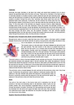 Summaries, Notes 'The Cardio-Respiratory and Energy Systems', 2.