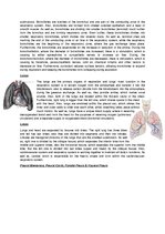 Summaries, Notes 'The Cardio-Respiratory and Energy Systems', 9.