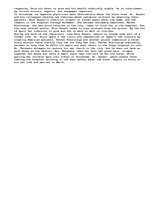 Essays '"Hiroshima" by John Hersey', 3.